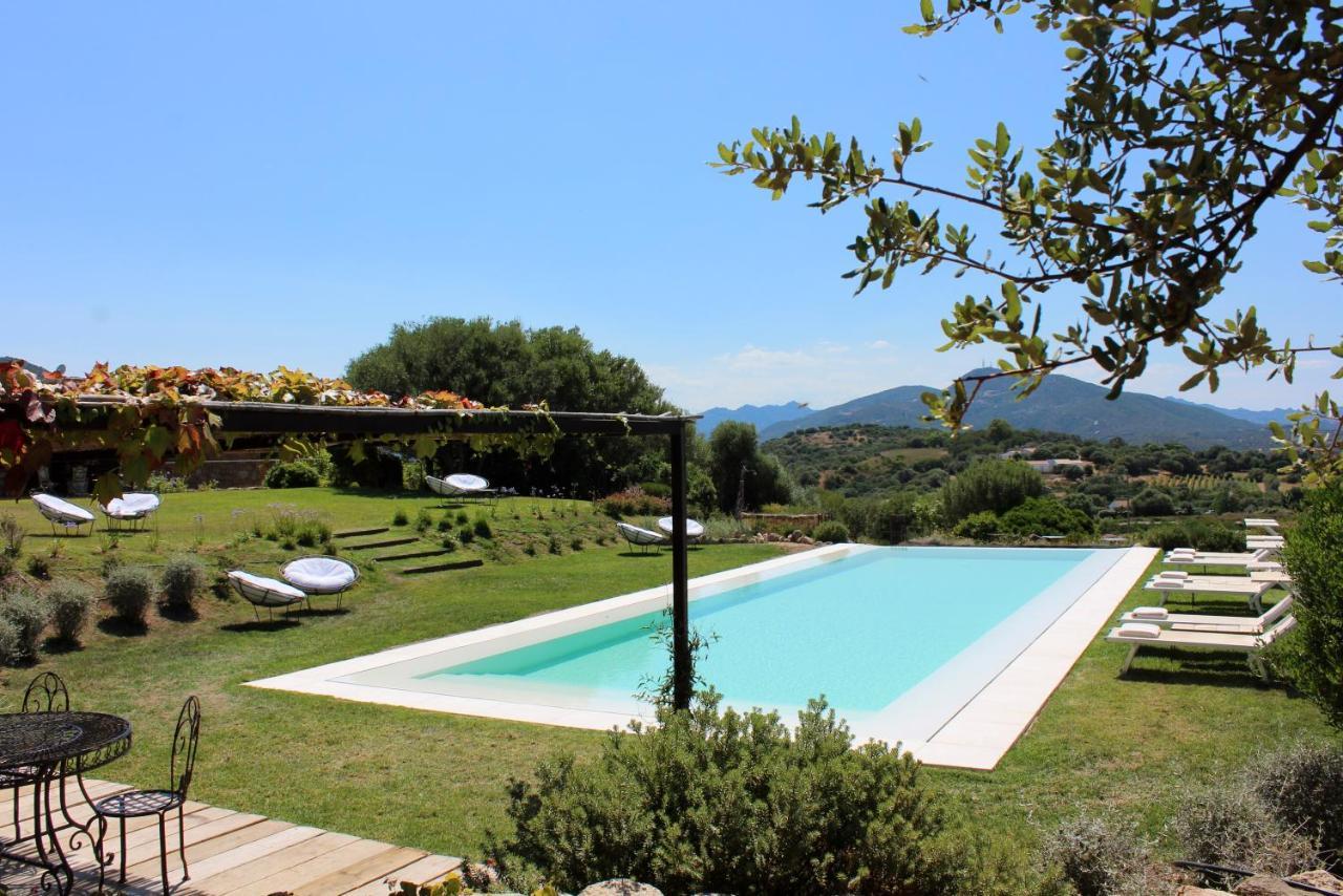 Albero Capovolto Bed and Breakfast Golfo Aranci Εξωτερικό φωτογραφία
