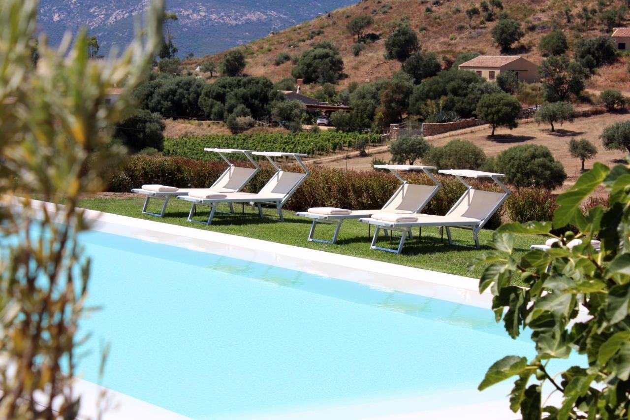 Albero Capovolto Bed and Breakfast Golfo Aranci Εξωτερικό φωτογραφία