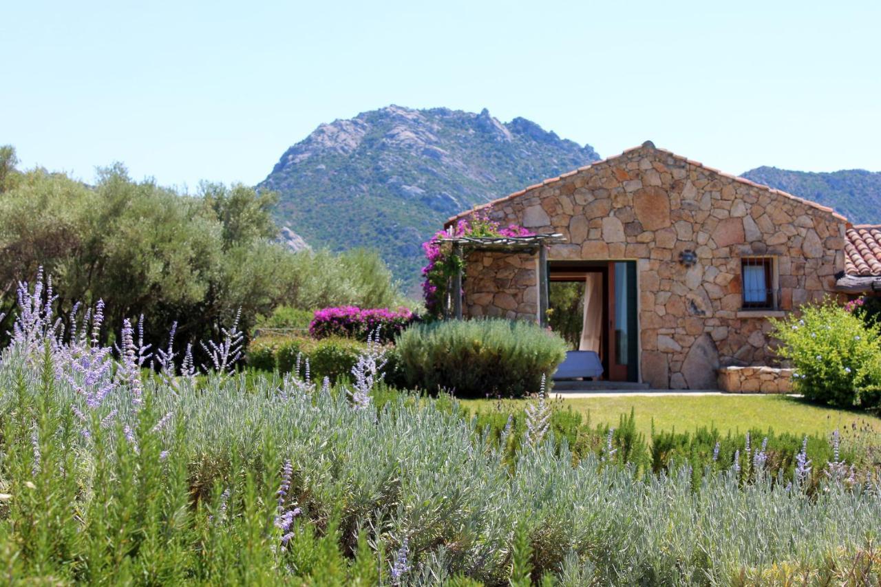 Albero Capovolto Bed and Breakfast Golfo Aranci Εξωτερικό φωτογραφία